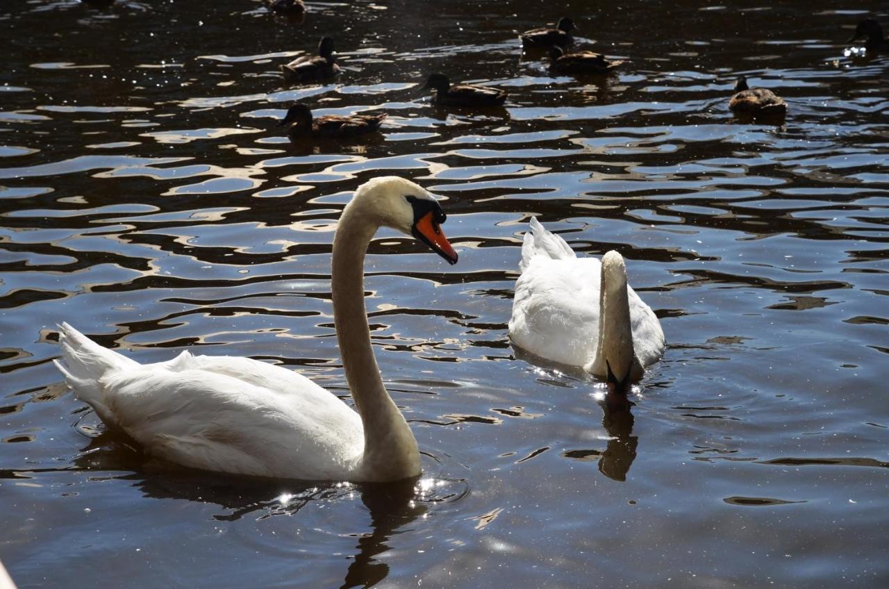 Tewitfield Marina Appartement Carnforth Buitenkant foto